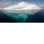 ICE KINGDOMS ARMY