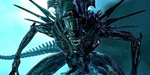 {[XENOMORPH HIVE]}