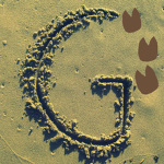 Gallops Sea Dine Grill