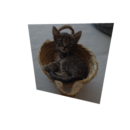 Cute basket Baby CatAccessory