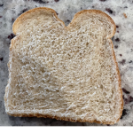 toastybread brothers