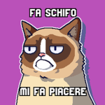 Ciao sono nuovo