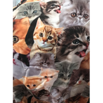 Bengals X
