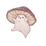 Fellow._.Mushrooms