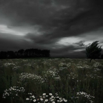 「Rain」