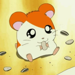 Hamsters Community :)