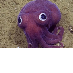 survive squid game gaurd