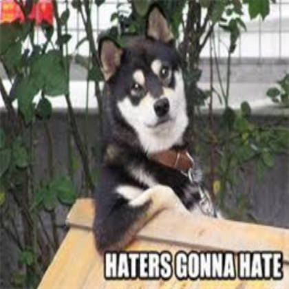 "Haters Gonna Hate" Dog Roblox decal