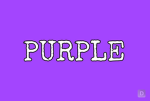 PURPLE 's STUDIO