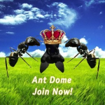 Ant Dome