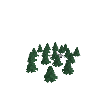 Forest With A Camp Ground
