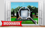 Brookhaven Investigator Team