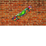 Skate Place!