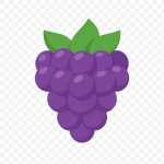 Blackberry Experiences