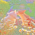 la forêt d’ours
