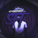 彡 SFT