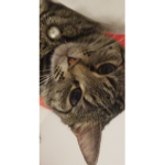 Y0urS¡ght0nly