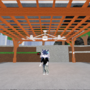 Ceiling fan early 2025