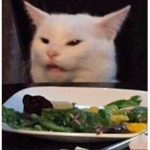 ~Salad Cat Cult!~