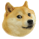 Fans of the doge
