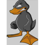 GRAY DUCKS UNITED