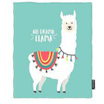 ||| Llama and Friends |||