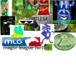 MLG Turtles