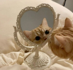 DesiredCloset