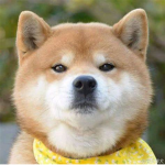 NAZUA