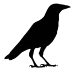 Crow Game Studios