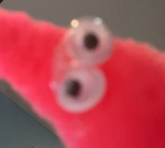Confused worms