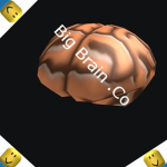 Big Brain .Co