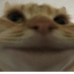bwaaaa