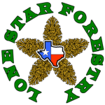 Lone Star Forestry