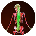 Bone Splitter Badge
