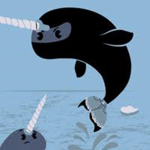 The Narwhal Ninjas