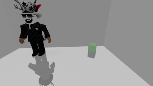 Reflection Test