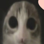 //ricanfg