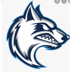 DarkWolfStudio Group