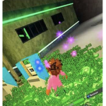 lil uzi vert gang gang