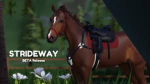 Greenwood Equine (strideway)