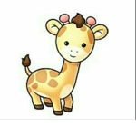 The giraffe’s