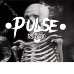 •pulse•