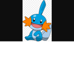Mudkip Donation Association