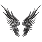 Cherubim’s Silver Wings