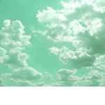 Acid Rain clothing