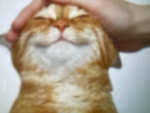 VorbedYT