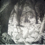 The Hare’s