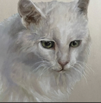 Gato Warriors