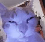 WQT3RF4LL